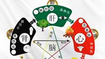 顺友和中医五色养生法 ——以食养脏，调和气血的智慧
